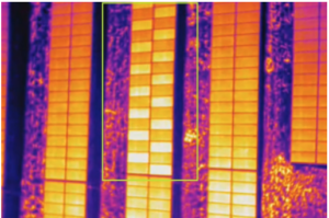 A Close-up Examination of In-field Performance of Various Module Manufacturers